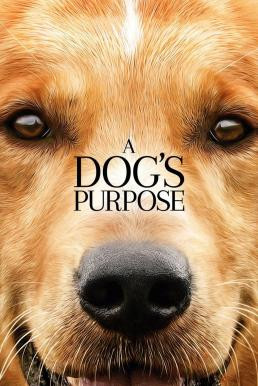 A Dog's Purpose หมา เป้าหมาย และเด็กชายของผม (2017)