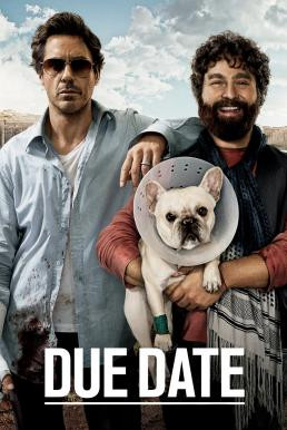 Due Date คู่แปลก ทริปป่วน ร่วมไปให้ทันคลอด (2010) - ดูหนังออนไลน