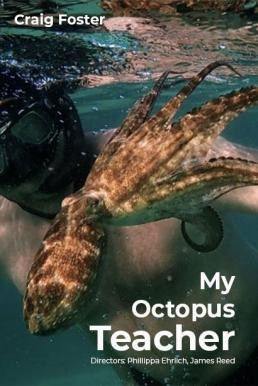 My Octopus Teacher บทเรียนจากปลาหมึก (2020) NETFLIX บรรยายไทย