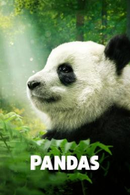 Pandas (2018) บรรยายไทย - ดูหนังออนไลน