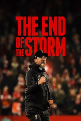 The End of the Storm (2020)