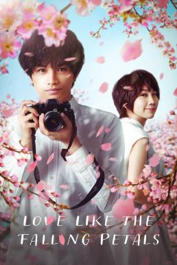 Love Like the Falling Petals (My Dearest, Like a Cherry Blossom) ใบไม้ผลิที่ไม่มีเธอเป็นซากุระ (2022) NETFLIX